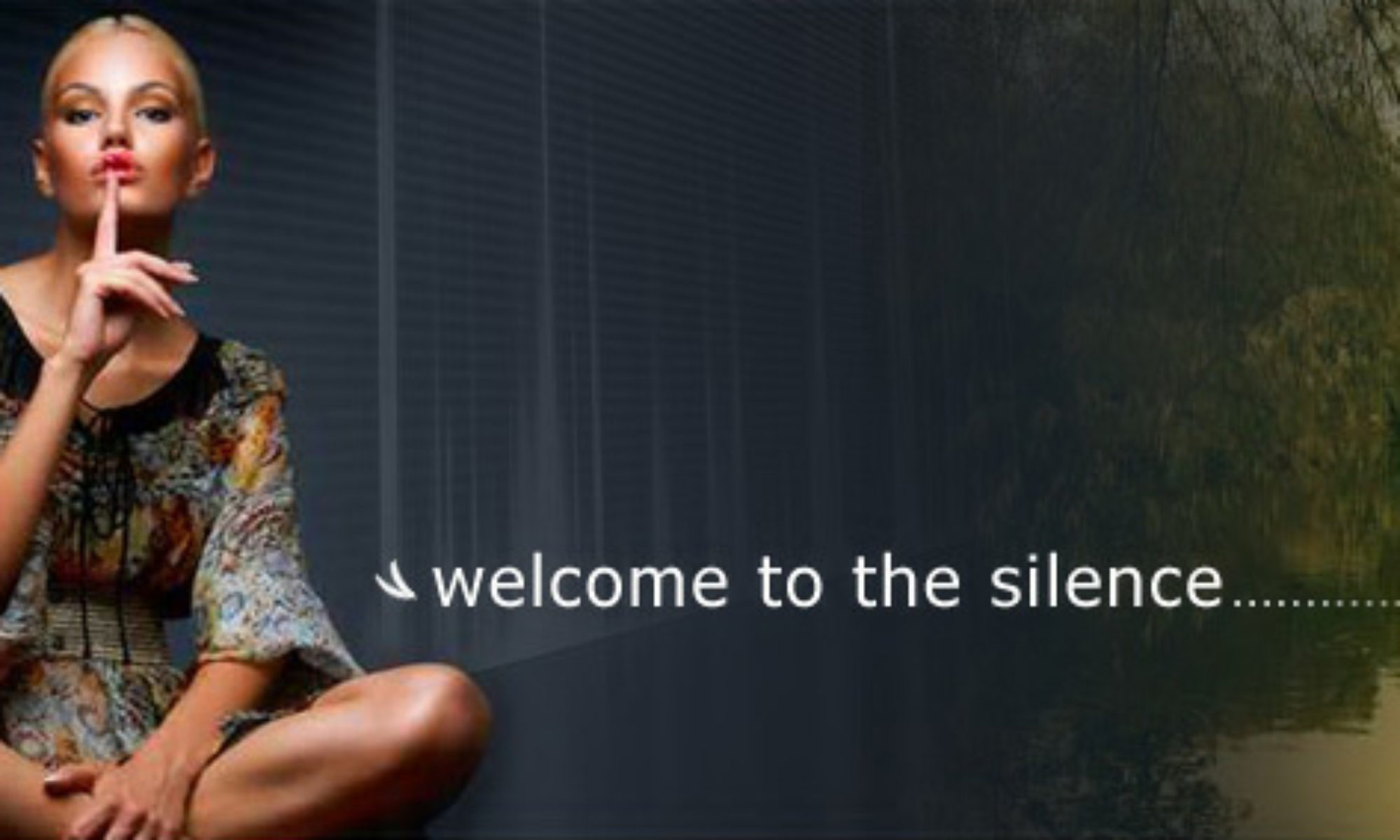 Risanamento Acustico